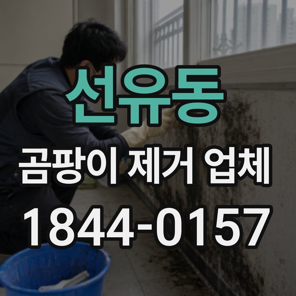 선유동 곰팡이 제거 업체