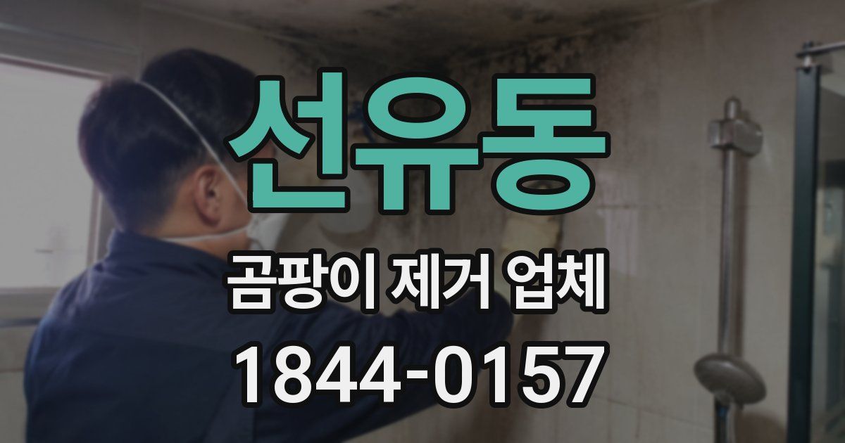 선유동 곰팡이 제거 업체