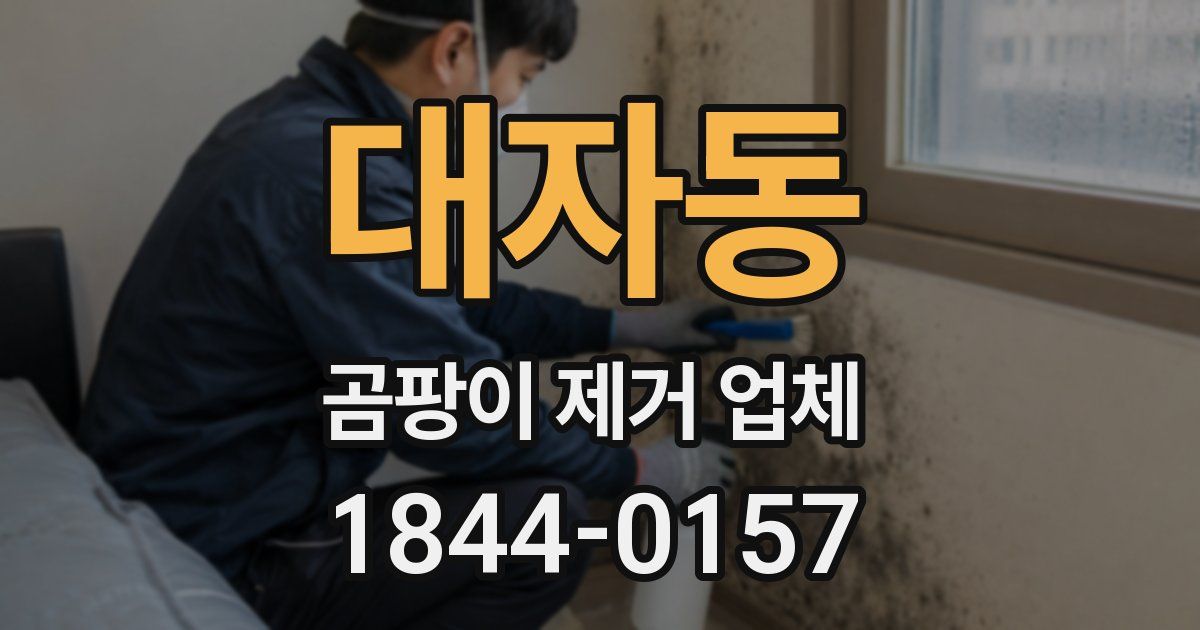 대자동 곰팡이 제거 업체