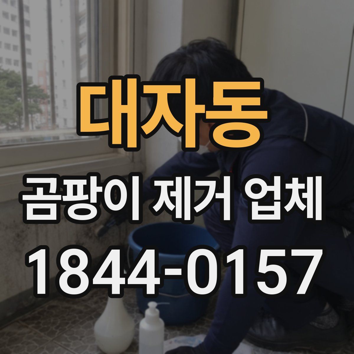 대자동 곰팡이 제거 업체