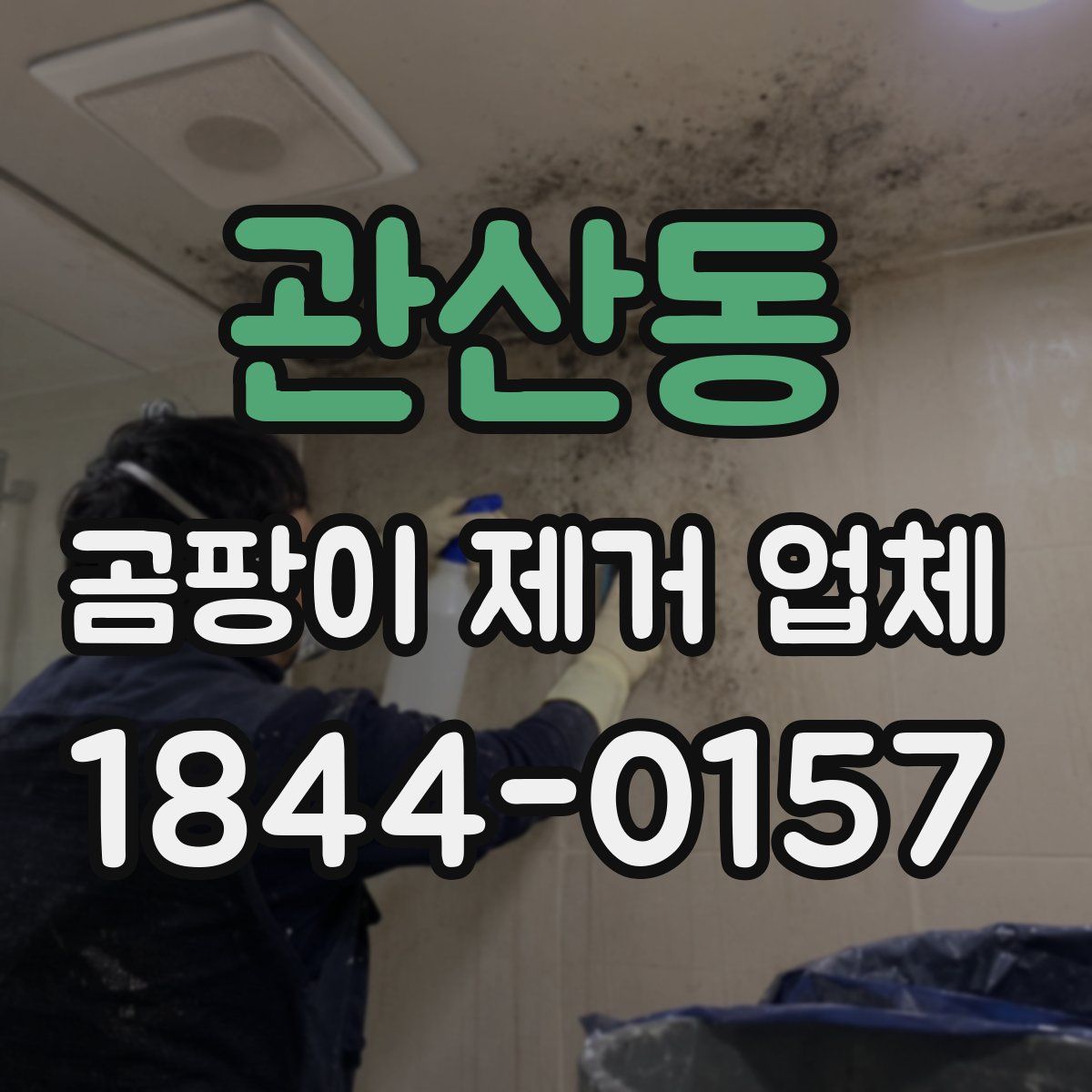 관산동 곰팡이 제거 업체