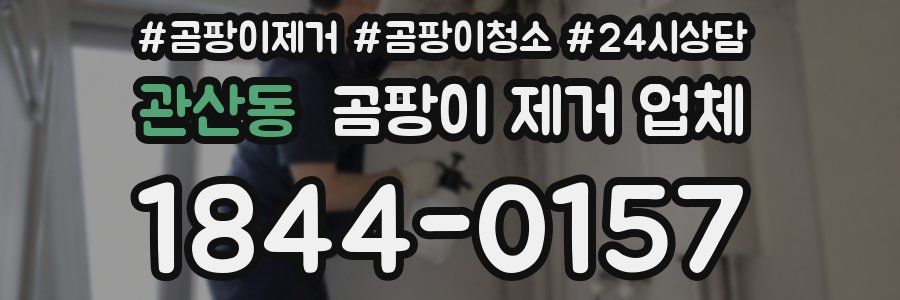 관산동 곰팡이 제거 업체
