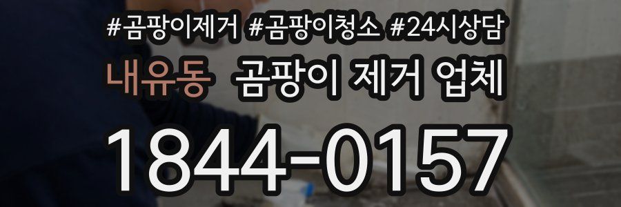 내유동 곰팡이 제거 업체