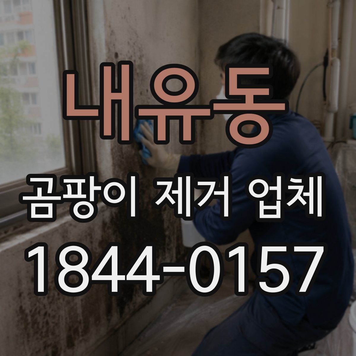 내유동 곰팡이 제거 업체