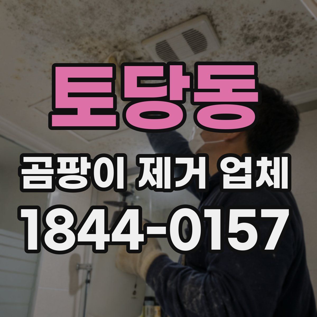 토당동 곰팡이 제거 업체
