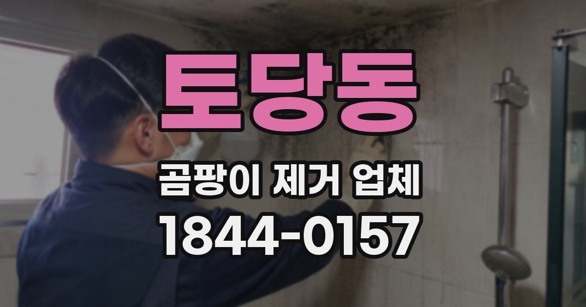 토당동 곰팡이 제거 업체