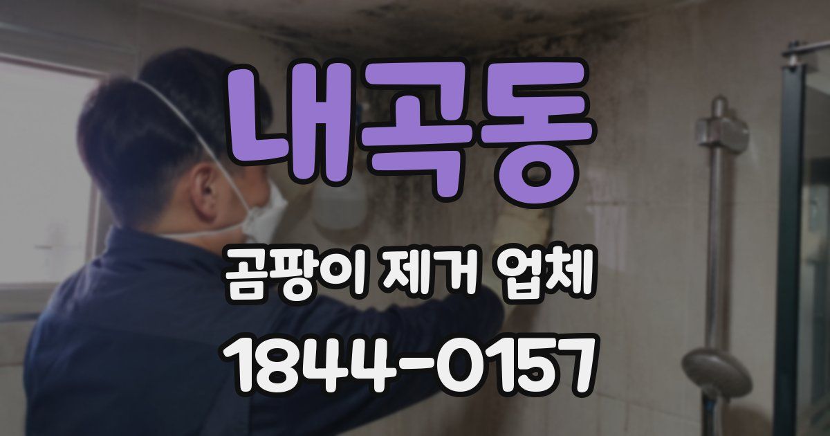 내곡동 곰팡이 제거 업체