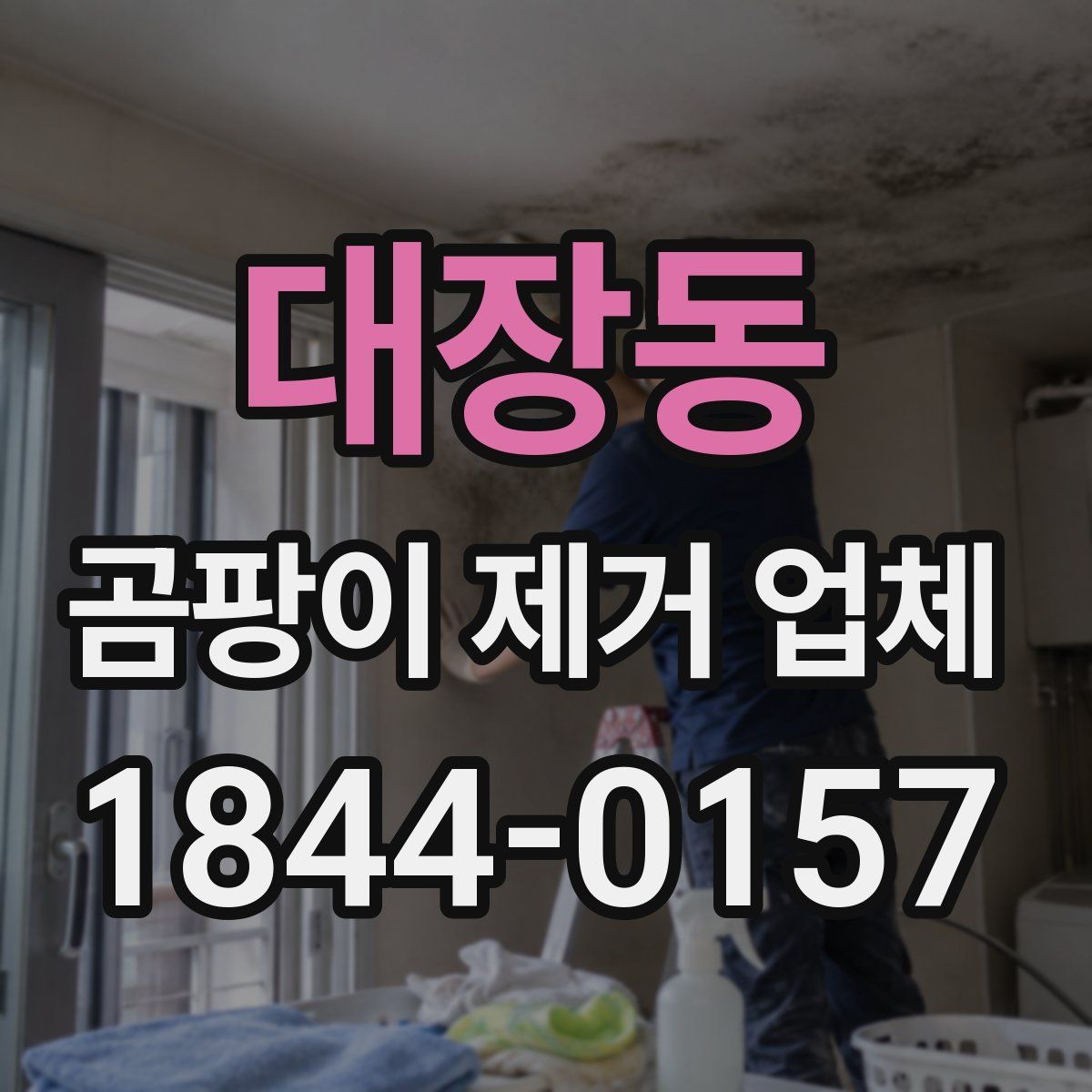 대장동 곰팡이 제거 업체