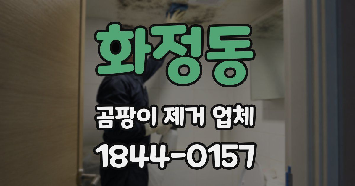 화정동 곰팡이 제거 업체