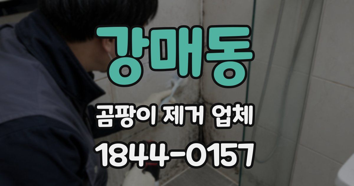 강매동 곰팡이 제거 업체