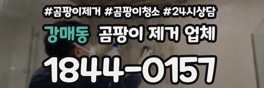 강매동 곰팡이 제거 업체