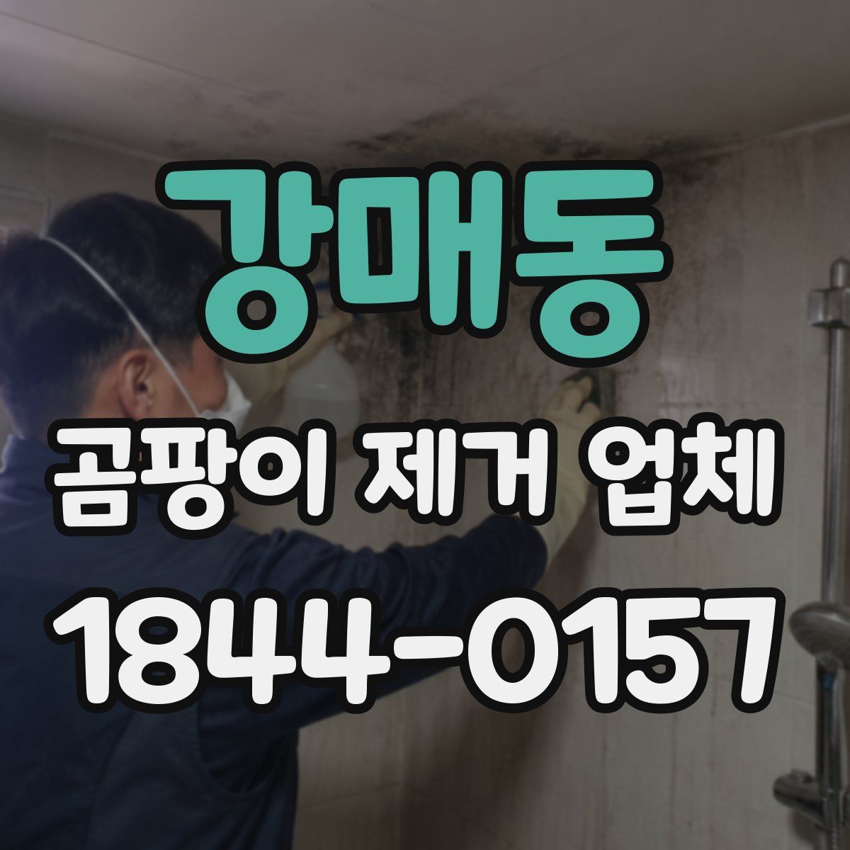 강매동 곰팡이 제거 업체