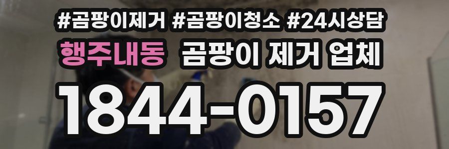 행주내동 곰팡이 제거 업체