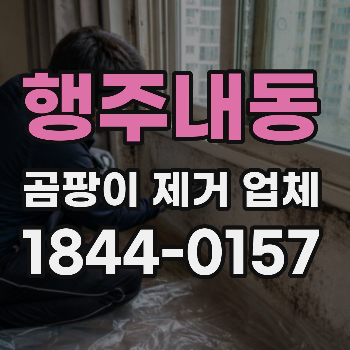 행주내동 곰팡이 제거 업체