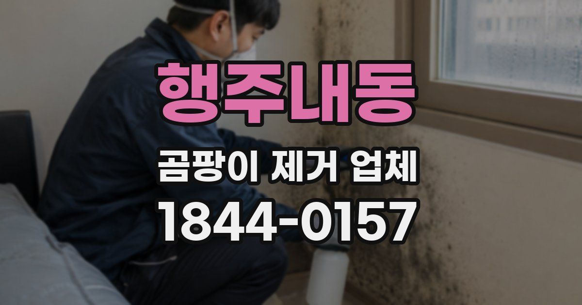 행주내동 곰팡이 제거 업체