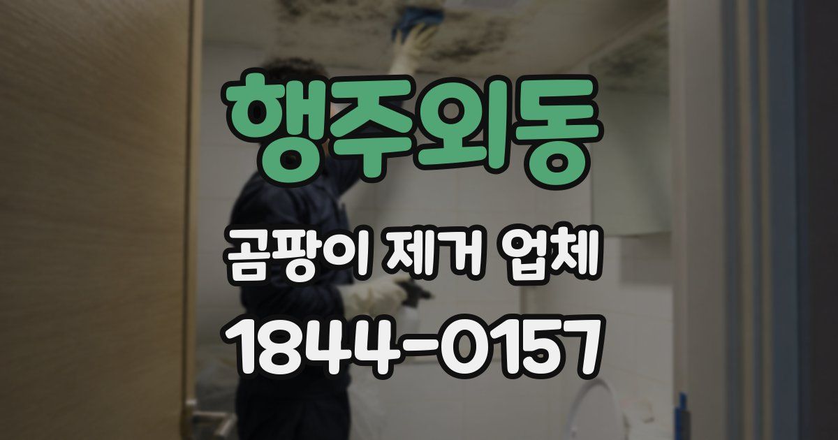 행주외동 곰팡이 제거 업체
