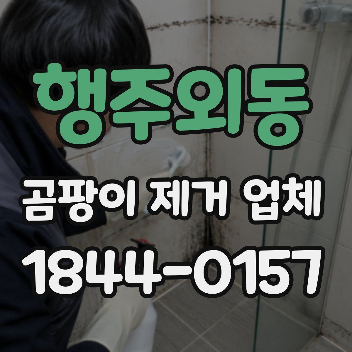 행주외동 곰팡이 제거 업체