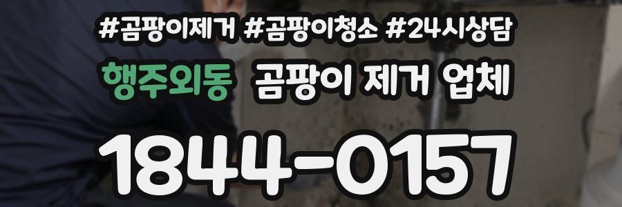 행주외동 곰팡이 제거 업체