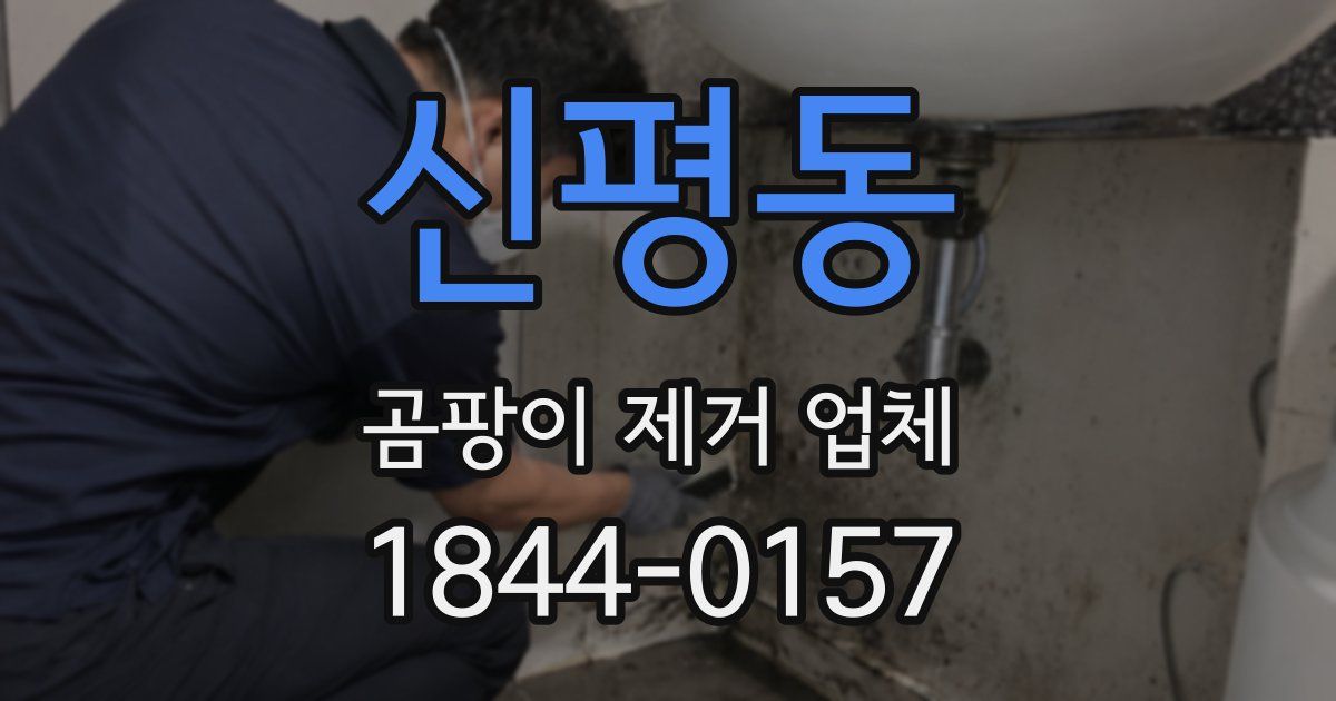 신평동 곰팡이 제거 업체