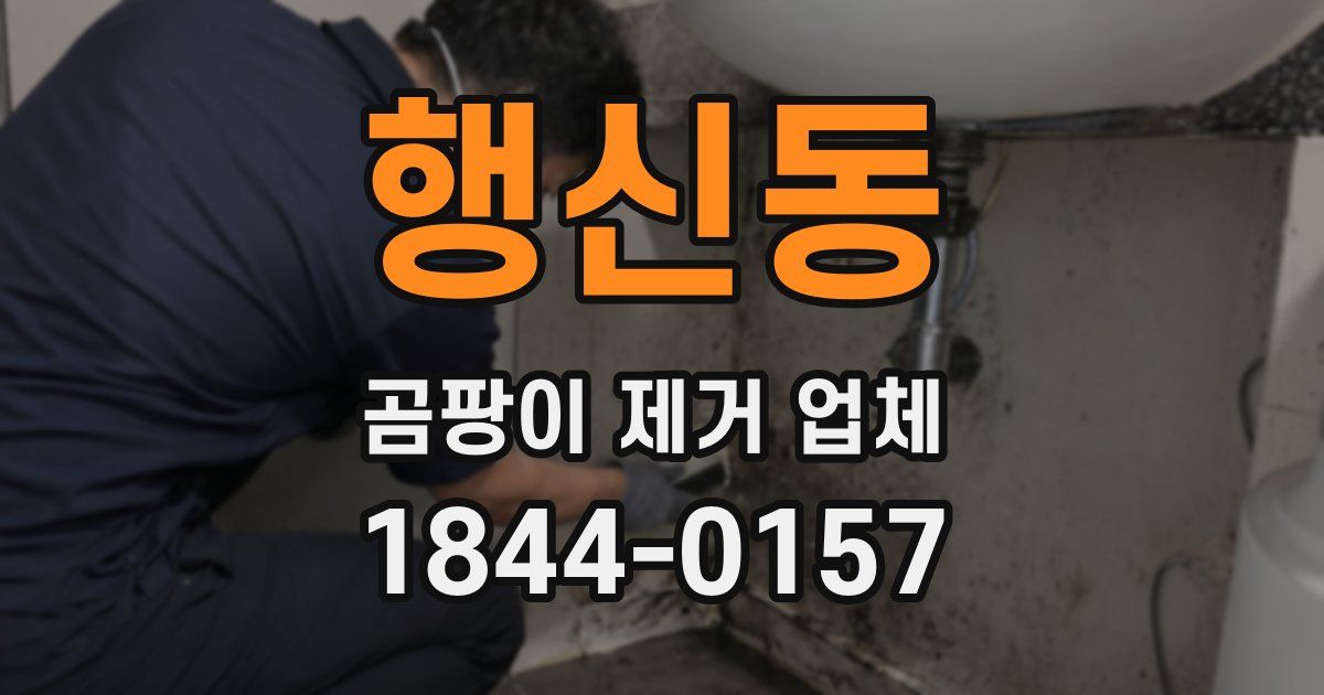 행신동 곰팡이 제거 업체