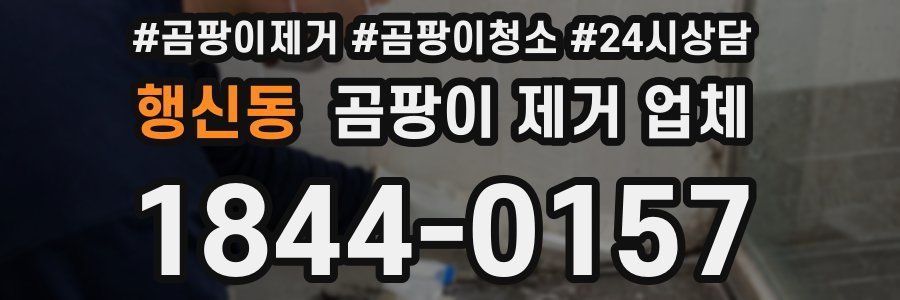 행신동 곰팡이 제거 업체