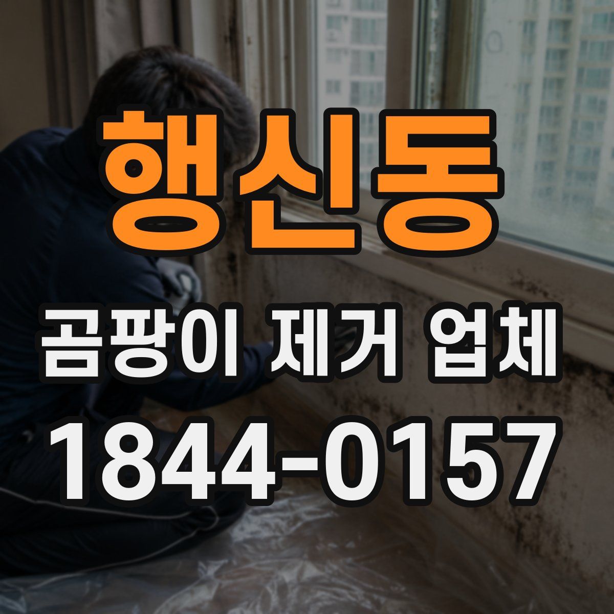 행신동 곰팡이 제거 업체
