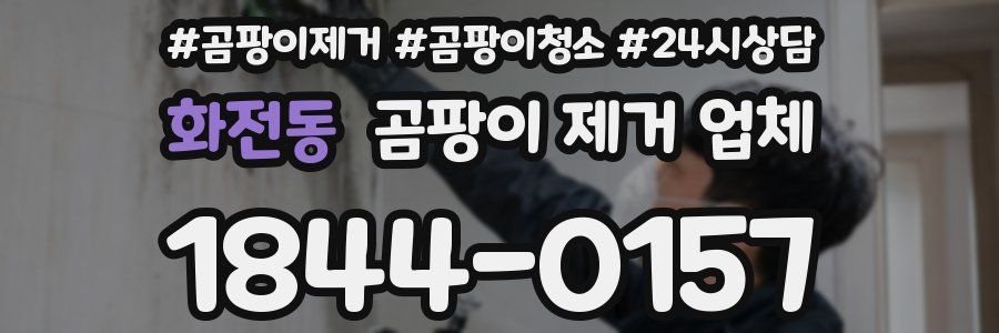 화전동 곰팡이 제거 업체