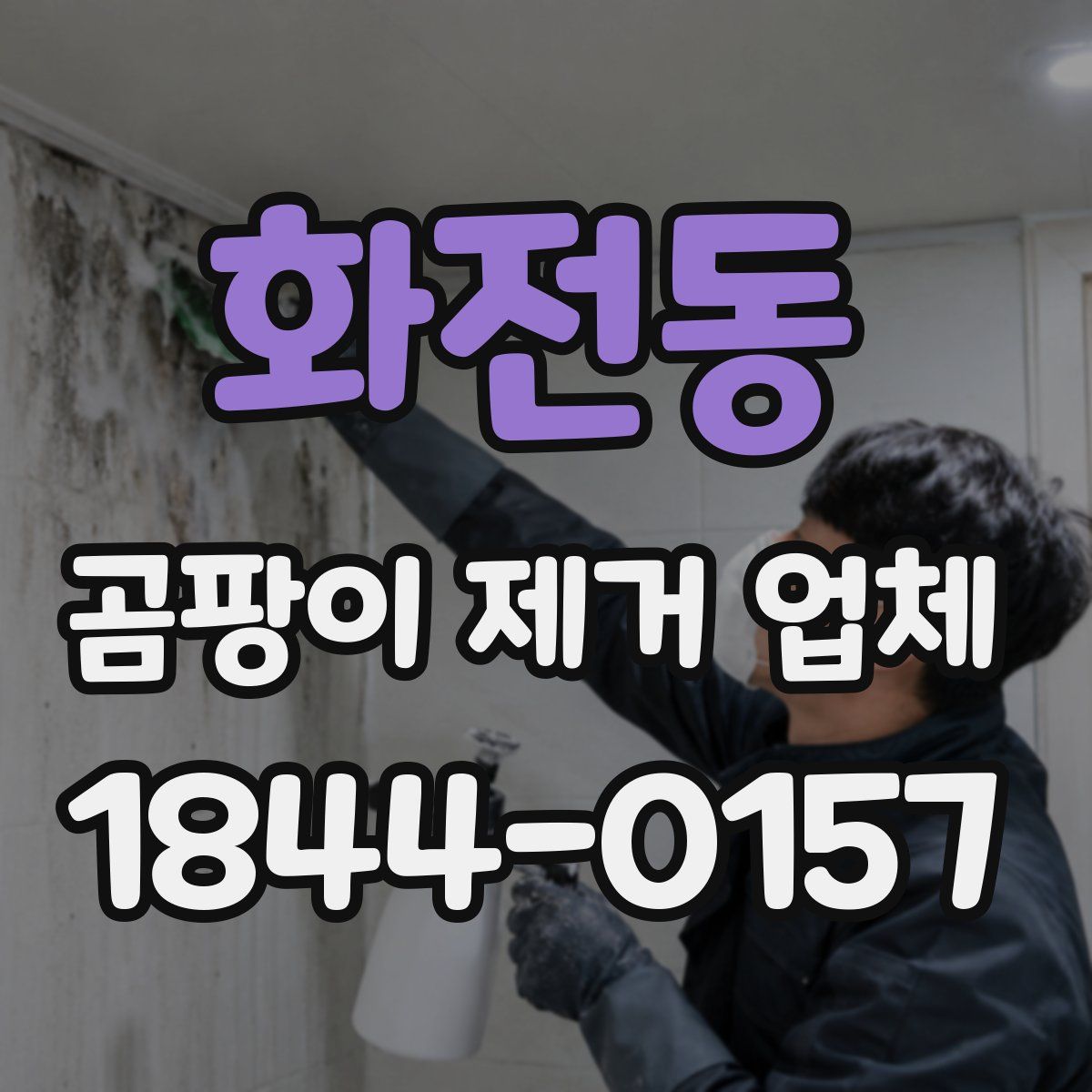 화전동 곰팡이 제거 업체
