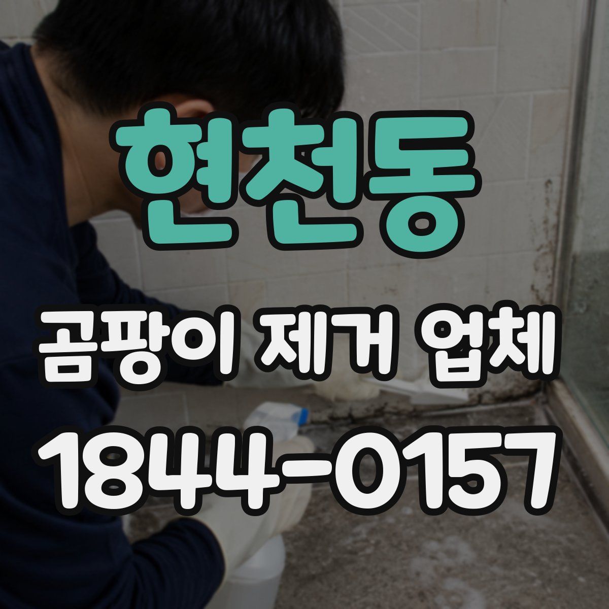 현천동 곰팡이 제거 업체