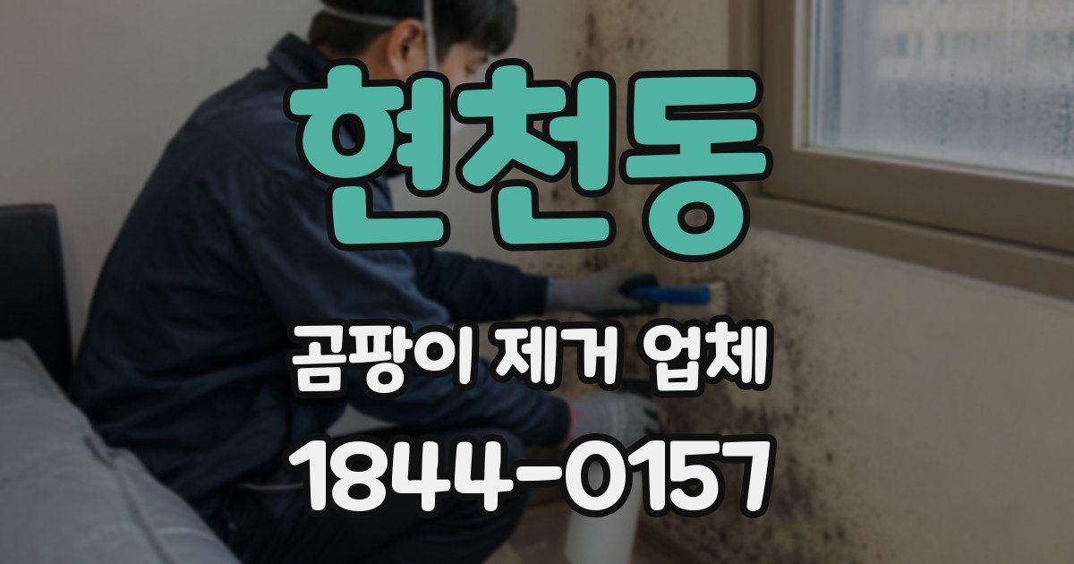 현천동 곰팡이 제거 업체