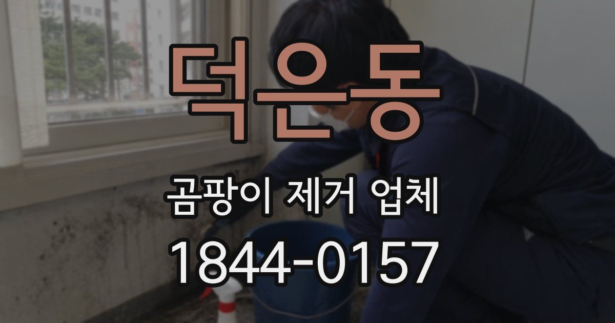 덕은동 곰팡이 제거 업체