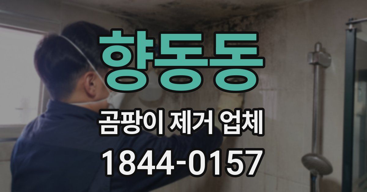 향동동 곰팡이 제거 업체