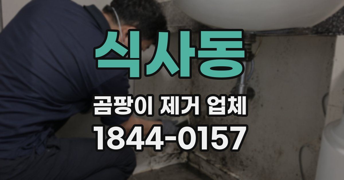 식사동 곰팡이 제거 업체