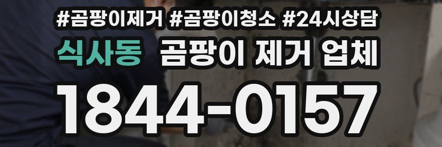 식사동 곰팡이 제거 업체