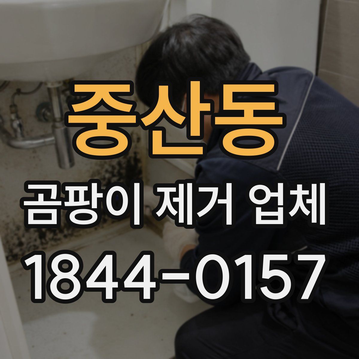 중산동 곰팡이 제거 업체