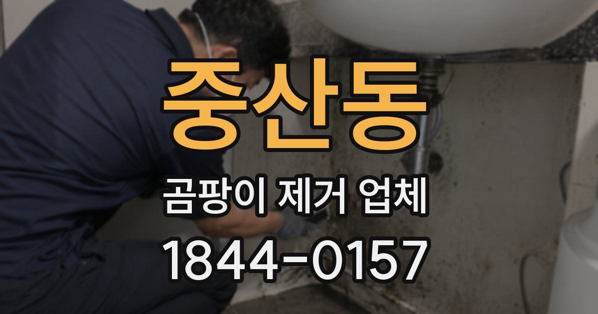중산동 곰팡이 제거 업체