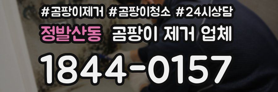 정발산동 곰팡이 제거 업체