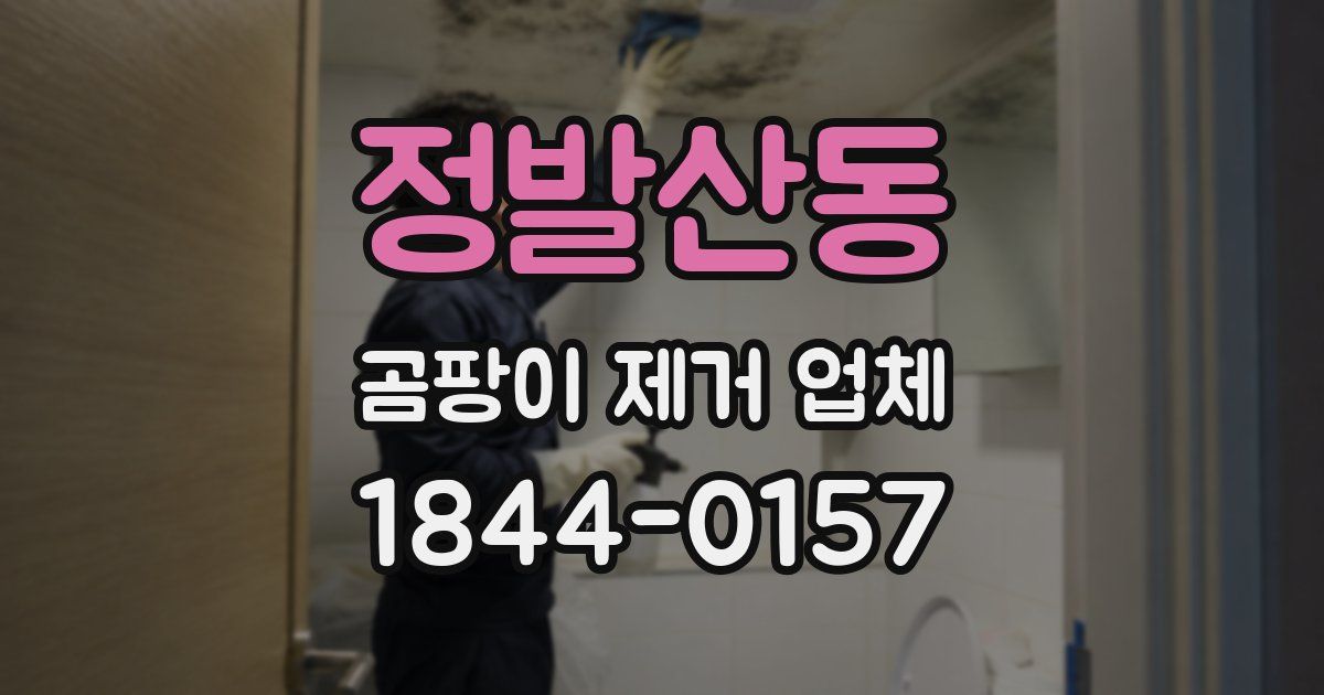 정발산동 곰팡이 제거 업체