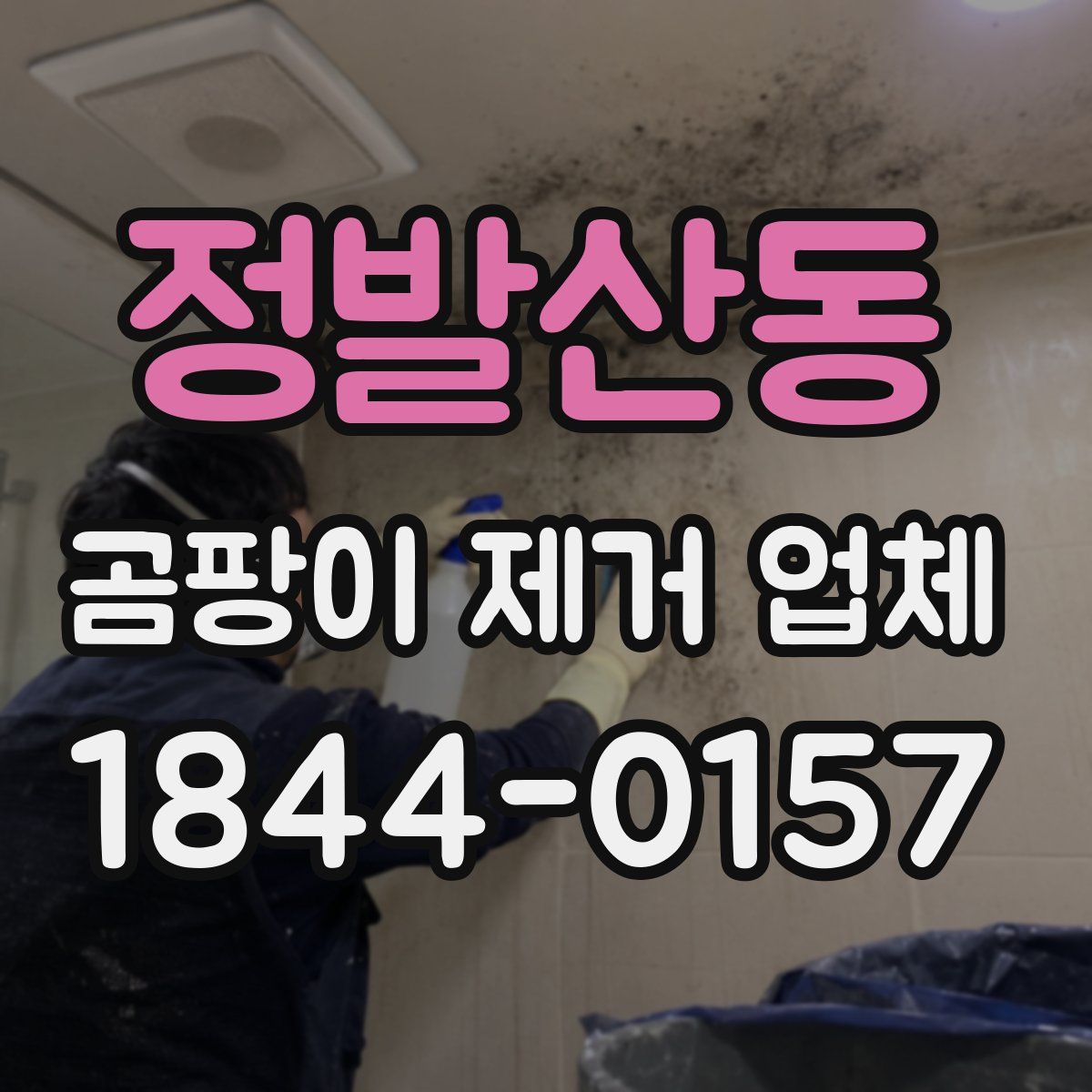 정발산동 곰팡이 제거 업체