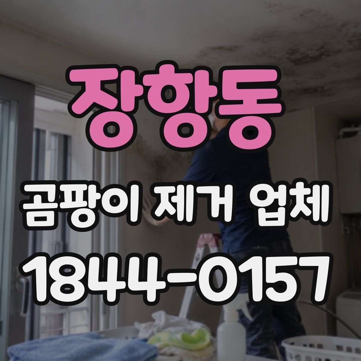 장항동 곰팡이 제거 업체