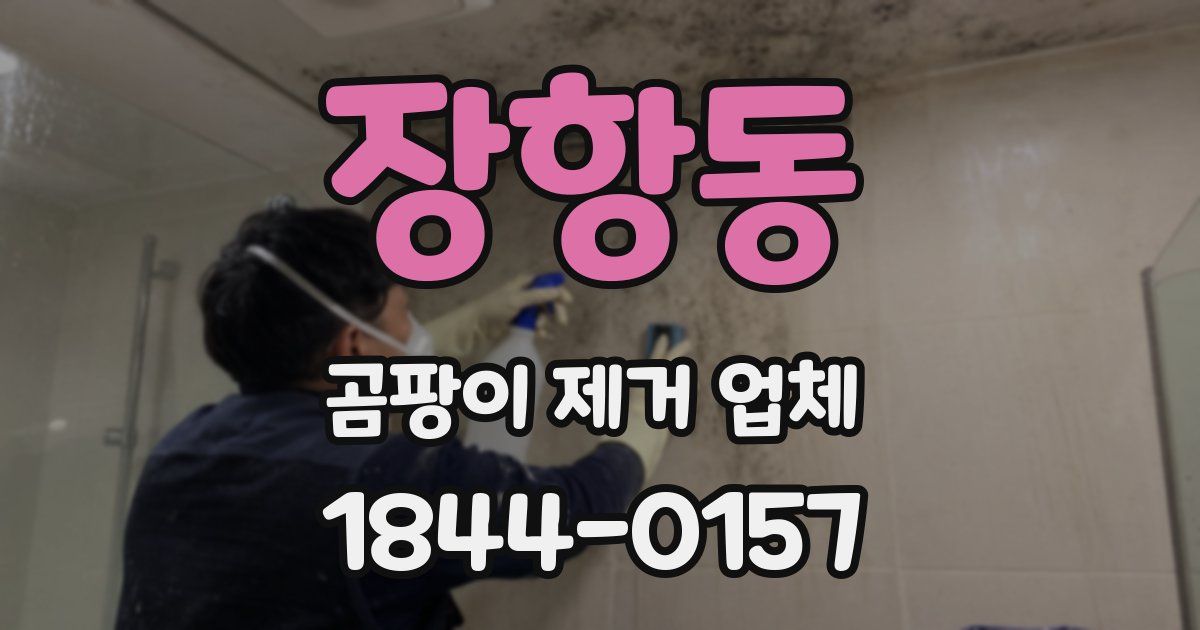 장항동 곰팡이 제거 업체