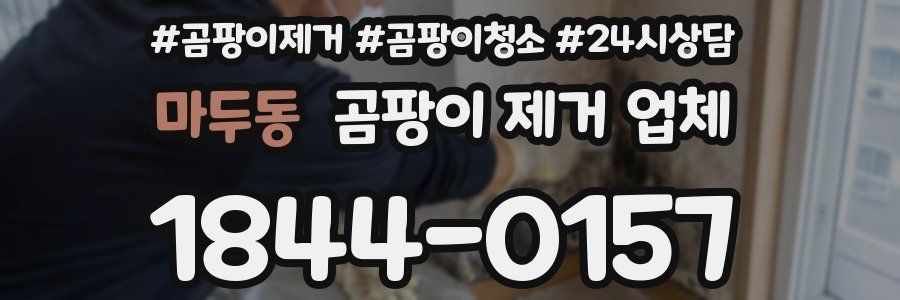 마두동 곰팡이 제거 업체