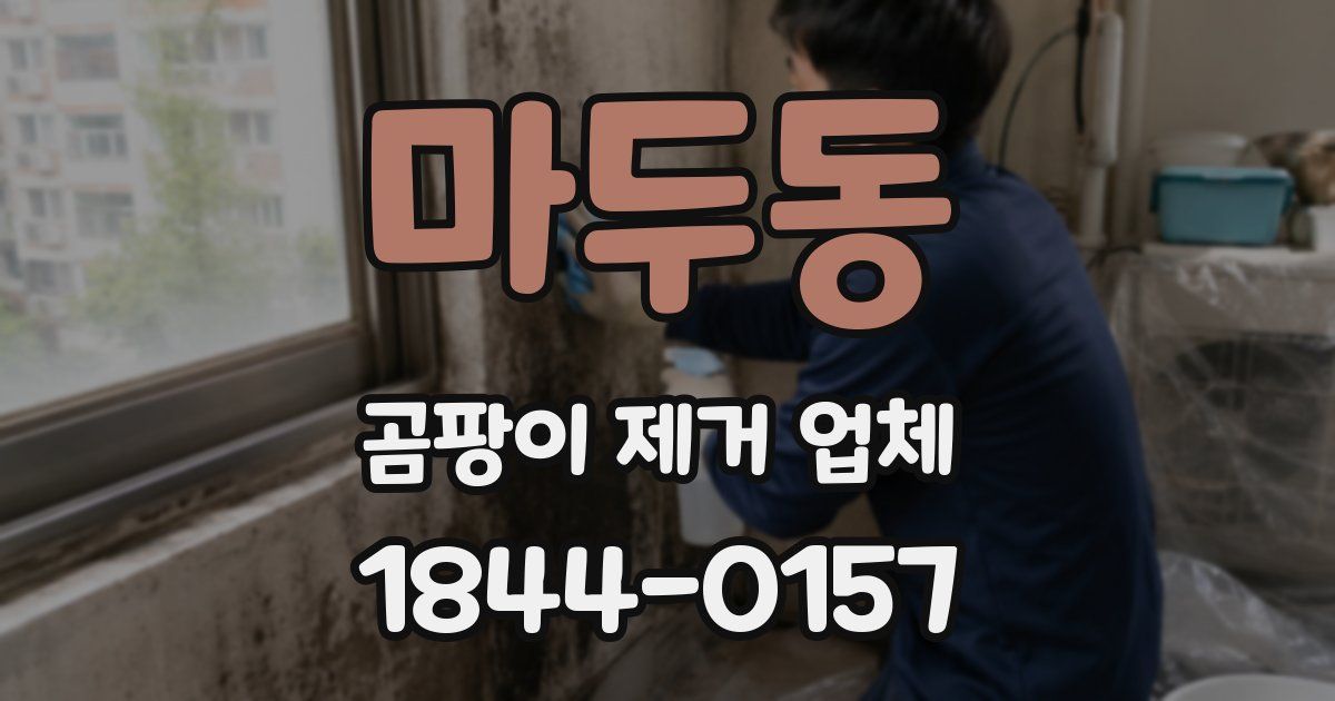 마두동 곰팡이 제거 업체