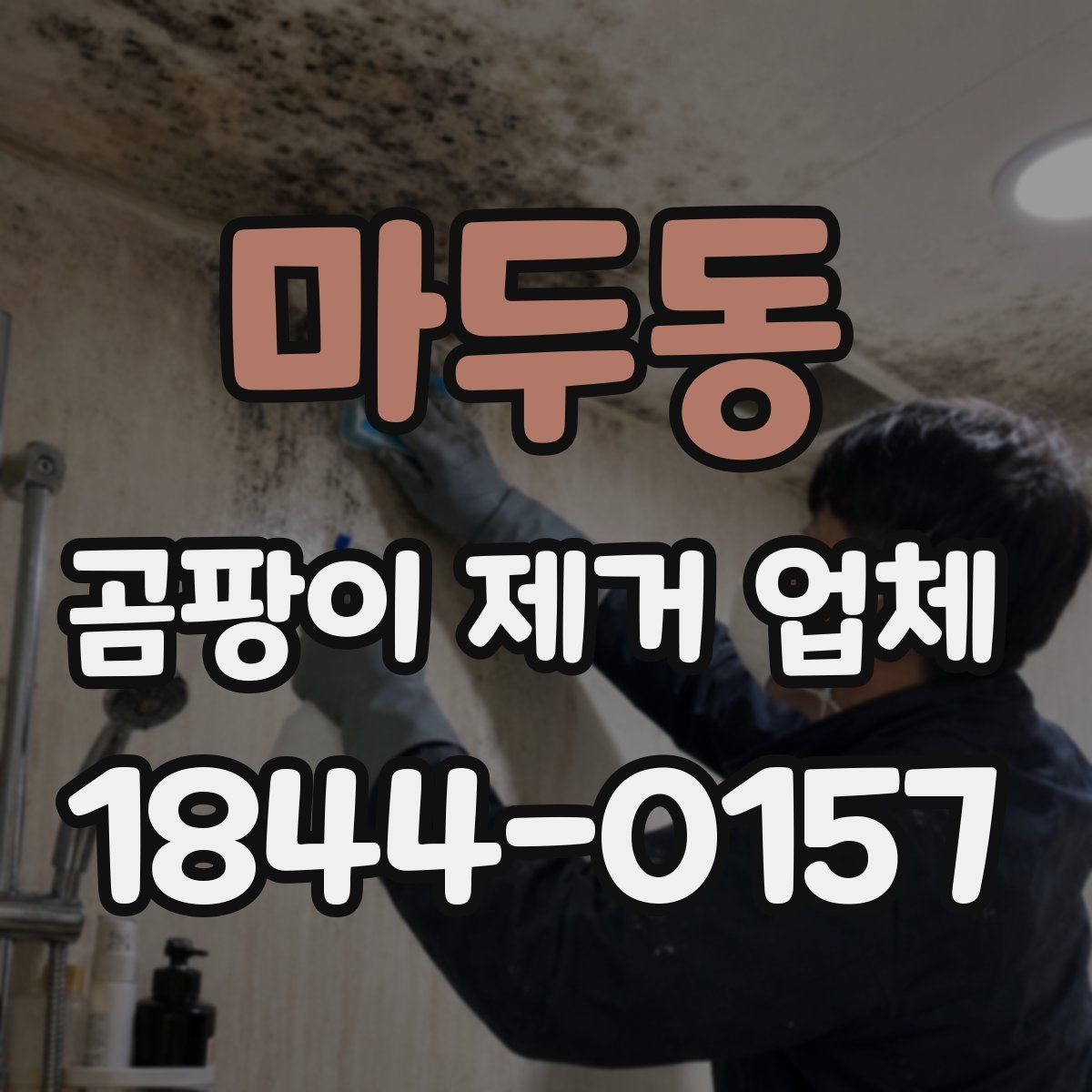 마두동 곰팡이 제거 업체