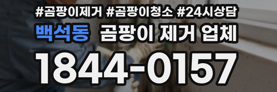 백석동 곰팡이 제거 업체