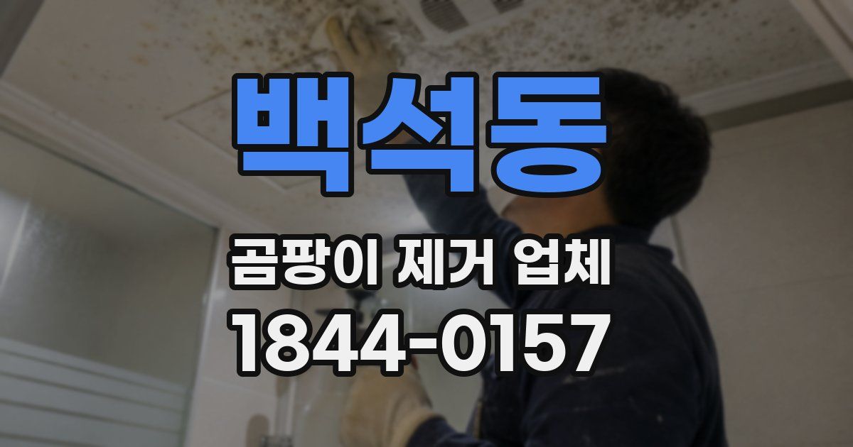 백석동 곰팡이 제거 업체
