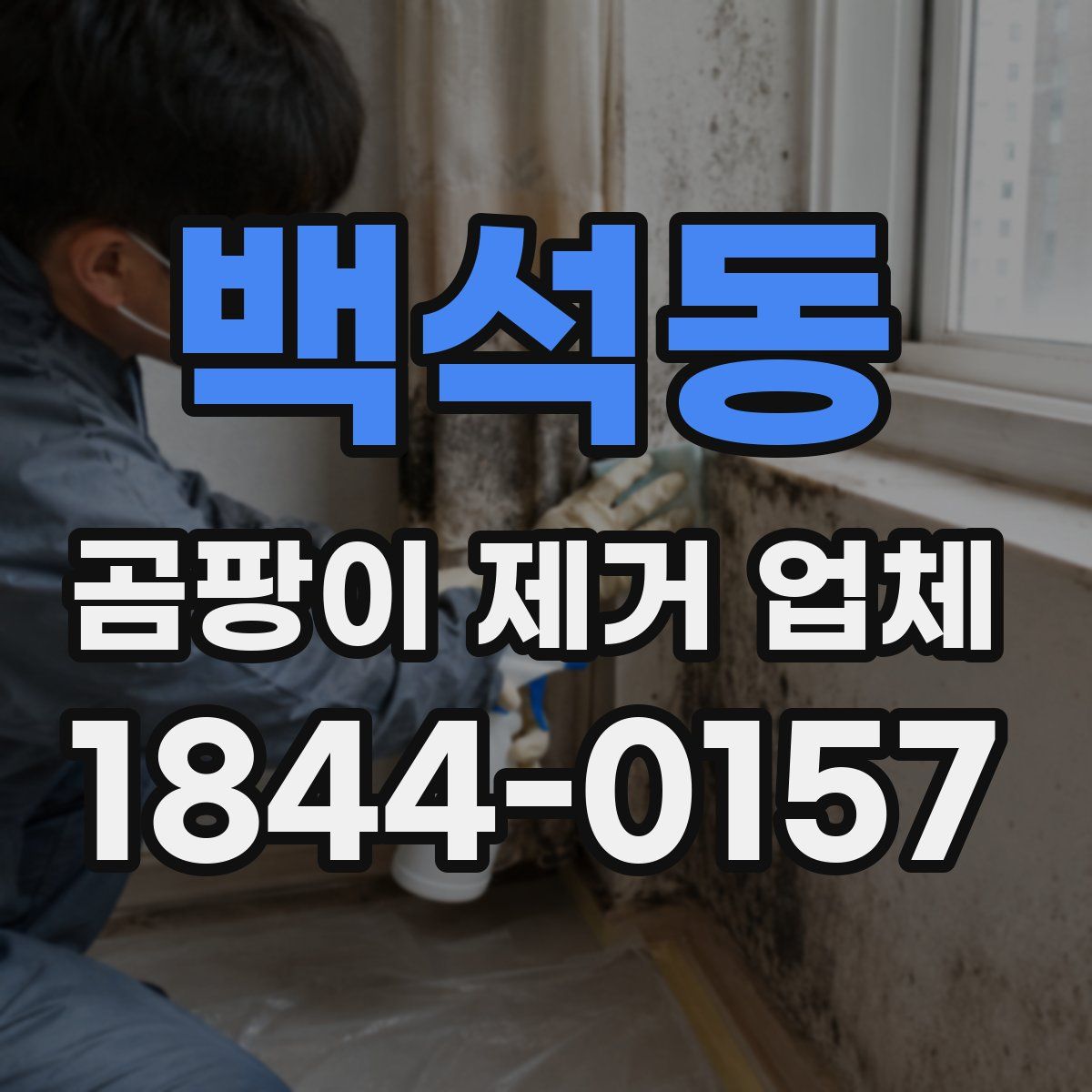 백석동 곰팡이 제거 업체