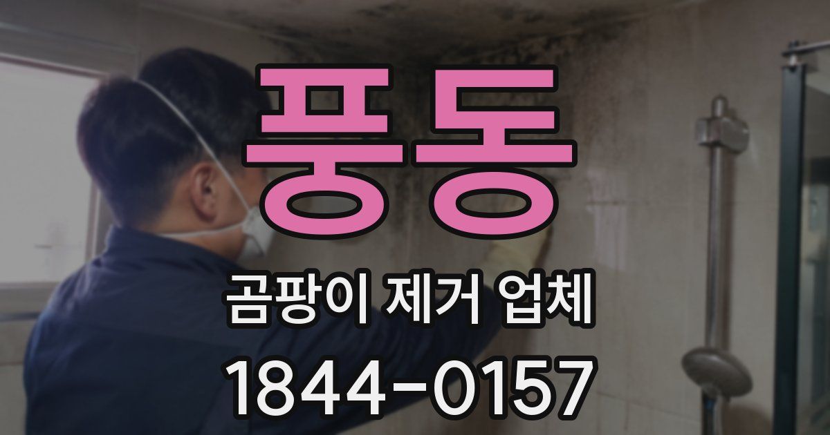 풍동 곰팡이 제거 업체