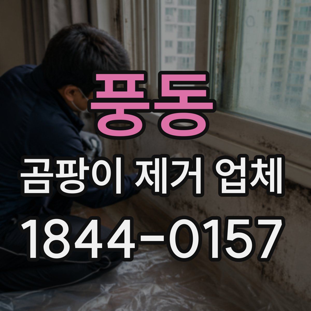 풍동 곰팡이 제거 업체