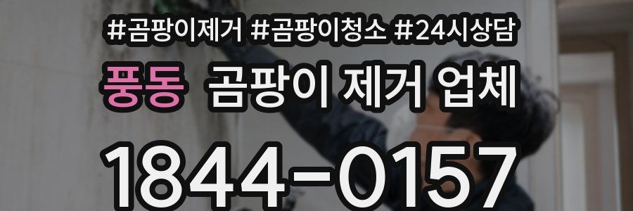 풍동 곰팡이 제거 업체